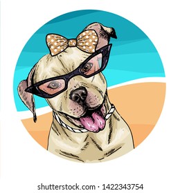 Vector portrait of pit bull terrier dog wearing sunglasses and retro bow. Summer fashion illustration. Vacation, sea, beach, ocean. Hand drawn pet portait. Poster, t-shirt print, holiday, postcard
