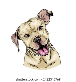 Vector portrait of pit bull terrier dog. Cute puppy. Animalistic illustration. Hand drawn pet portait. Poster, t-shirt print, holiday, postcard, shelter
