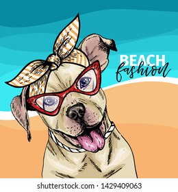 Vector portrait of pit bull terrier dog wearing sunglasses and retro bow. Summer fashion illustration. Vacation, sea, beach, ocean. Hand drawn pet portait. Poster, t-shirt print, holiday, postcard