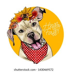 Vector portrait of Pit Bull Terrier dog wearing autumn leaves crown. Hello fall illustration. Oak, maple, chestnut, rowen. Hand drawn pet portait. Poster, t-shirt print, postcard, seasonal greeting
