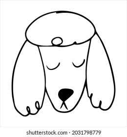 Retrato vectorial de un perro caniche al estilo de dibujos animados de doodle. Ilustración de mascotas en estilo de arte en línea