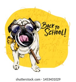 Vector portrait of Pug or Bulldog dog with magnifying glass and big nose reflection. Back to school illustration. Math formulas on background. Hand drawn pet portait. Study poster, student cartoon