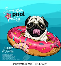 Vector portrait of pug dog swimming in water. Donut float. Summer pool paty illustration. Sea, ocean, beach. Hand drawn pet portait. Poster, t-shirt print, holiday celebration, postcard, summertime