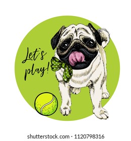 Vector portrait of pug dog with tennis ball. Let s play. Green curveball and background. Summer cartoon illustration. Hand drawn pet portait. Poster, t-shirt print, holiday, postcard, summertime.