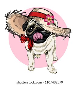 Vector portrait of pug dog wearing straw hat, flower and polka dot bandana. Summer fashion cartoon illustration. Hand drawn pet portait. Poster, t-shirt print, holiday, postcard, summertime