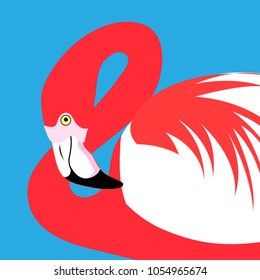 Vector portrait of a red flamingo on a blue background