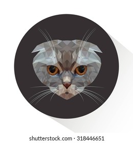 Vector Portrait of Scottish Fold Cat. Young cute cat peach colored cat with black eyes. Pedigreed cat. Low poly
