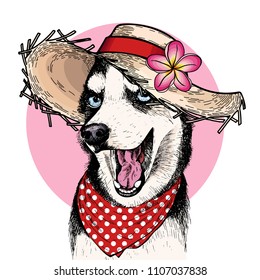 Vector portrait of Siberian husky dog wearing straw hat, flower and polka dot bandana. Summer fashion illustration. Hand drawn pet portait. Poster, t-shirt print, holiday, postcard, summertime