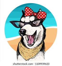 Vector portrait of Siberian husky dog wearing sunglasses and retro bow. Summer fashion illustration. Vacation, sea, beach, ocean. Hand drawn pet portait. Poster, t-shirt print, holiday, summertime.