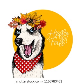 Vector portrait of Siberian husky dog wearing autumn leaves crown. Hello fall illustration. Oak, maple, chestnut, rowen. Hand drawn pet portait. Poster, t-shirt print, postcard, seasonal greeting