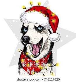 Vector portrait of Siberian Husky dog wearing santa hat Christmas lights garland. Isolated on star and snow. Sketched color illustration. Christmas, Xmas, New year. Party decoration, greeting card.