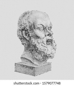 Vector portrait of Socrates. Line drawing technique