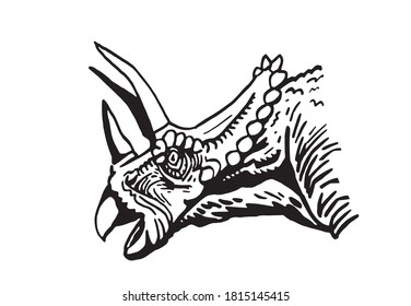 vector portrait of triceratops  isolated on white background, element for typography , design and tattoo