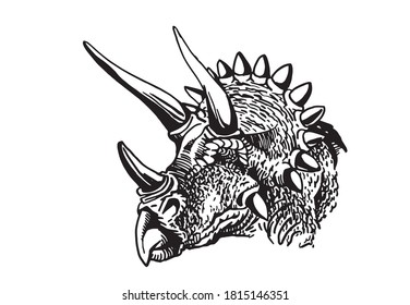 vector portrait of triceratops  isolated on white background, element for typography , design and tattoo