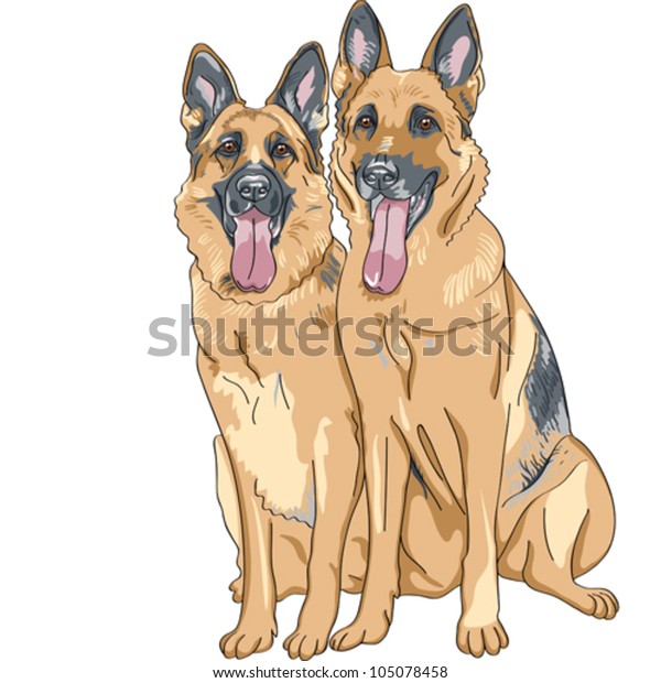 vector portrait of two dog German shepherd breed sitting and smile with his tongue hanging out