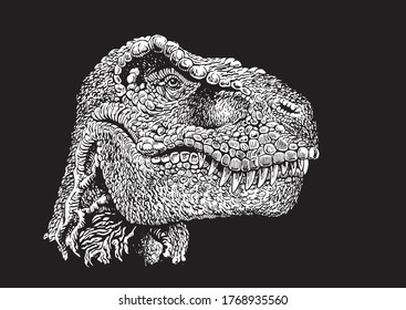 Vector portrait of tyrannosaurus isolated on black background, engraved illustration