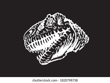 vector portrait of tyrannosaurus  isolated on black background, element for typography 