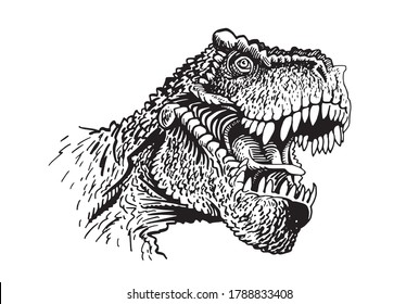 Vector portrait of tyrannosaurus isplated on white, graphical lizard