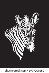 Vector portrait of zebra isolated on black for tattoo,printing,design,illustration in graphical style