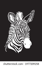 Vector portrait of zebra isolated on black for tattoo,printing,design,illustration in graphical style