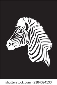 Vector portrait of zebra isolated on black,head of zebra