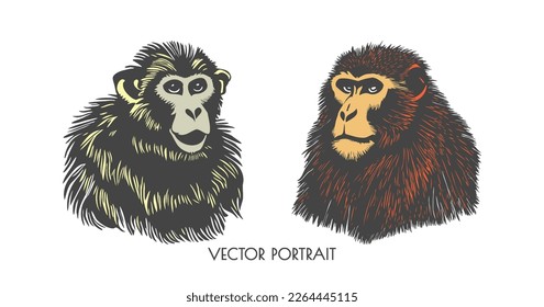 Vector portraits of two colored funny hairy monkeys with different emotions on a white isolated background.