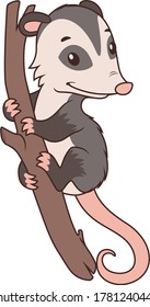 Vector Possum on a Branch Cartoon Character Mascot Illustration Isolated on White Background