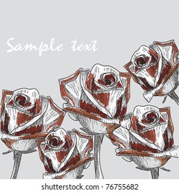vector postcard with cute flowers on grey background. Vector illustration