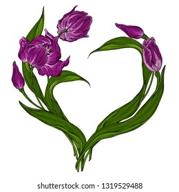 Vector postcard with dark pink Tulip flowers Floral arrangement with dark pink Tulip flowers.