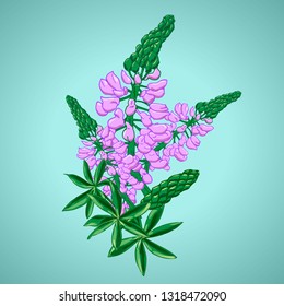 Vector postcard. Flower arrangement of meadow flowers. Pattern of vector flowers. Flowers for creating cards, seamless backgrounds and wallpapers. EPS 10 vector.