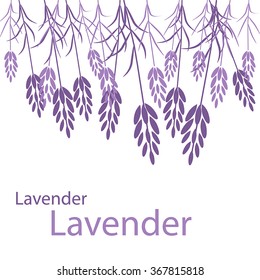 Vector postcard. Lavender, herbs, Provence. White background