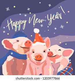 vector postcard pig new year