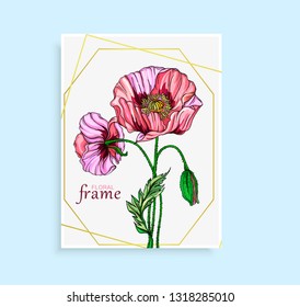Vector postcard with pink poppy flowers. Flower arrangement with pink poppy flowers.