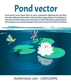 Vector postcard with pond, water lilies and dragonflies. Place for text