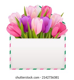 Vector Postcard with Tulips isolated on white background