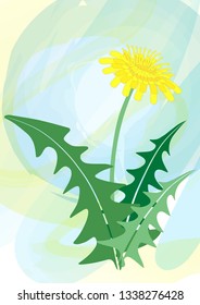 Vector postcard with yellow dandelion on the watercolor background