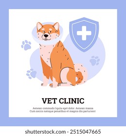 Vector poster with an Akita Inu puppy in a protective collar on the background of dog paw prints. It is ideal for creating a creative veterinary clinic