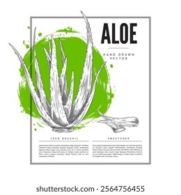 Vector poster with aloe vera, a medicinal plant with prickly leaves in the style of a black and white sketch on a background of a watercolor green spot