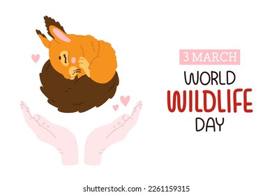 Vector poster, banner, print design or greeting card for World Wildlife Day with cute cartoon squirrel baby sleeping with hand drawn lettering