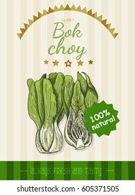Vector poster with a Bok choy in a sketch style. Vector illustration for your design