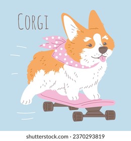 Afiche vectorial con dibujos animados sonriendo Corgi perro disfruta de un paseo en patineta rosa. Corgi raza pura de perro peludo. Ilustración de carácter de mascotas de oscilación con letras en un fondo azul