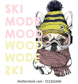 Vector poster with close up portrait of beagle dog.Ski mode mood. Puppy wearing beanie, scarf and snow goggles. Hand drawn. sport shop, resort, ski-rent promotion, design. Xmas, Christmas, New Year.