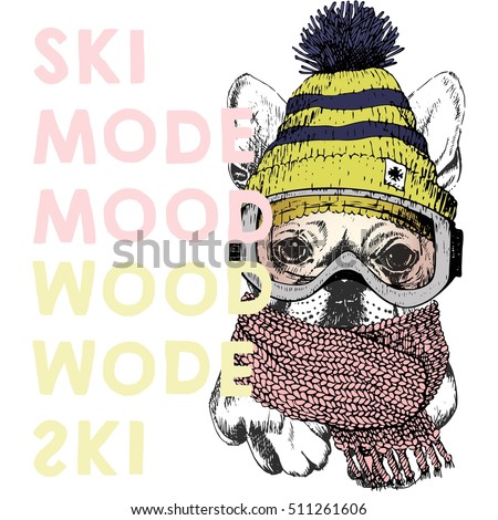 Vector poster with close up portrait of beagle dog.Ski mode mood. Puppy wearing beanie, scarf and snow goggles. Hand drawn. sport shop, resort, ski-rent promotion, design. Xmas, Christmas, New Year.