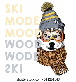 Vector poster close up portrait of siberian husky dog.Ski mode mood. Puppy wearing beanie, scarf and goggles. Hand drawn. sport shop, resort, ski-rent promotion, design. Xmas, Christmas, New Year.