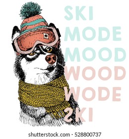 Vector poster with close up portrait of siberian husky dog.Ski mode mood. Puppy wearing beanie, scarf and goggles. Hand drawn. sport shop, resort, ski-rent promotion, print. Xmas, Christmas, New Year.