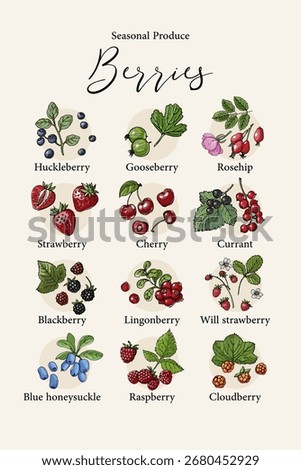 Vector poster with colorful hand drawn illustrations of seasonal berries: huckleberry, gooseberry, rosehip, strawberry, cherry, currant, blackberry, lingonberry, wild strawberry, blue honeysuckle, ras