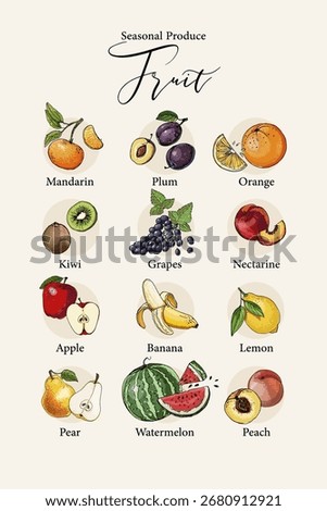 Vector poster with colorful hand drawn illustrations of seasonal fruits: mandarin, plum, orange, kiwi, grapes, nectarine, apple, banana, lemon, pear, watermelon, and peach.