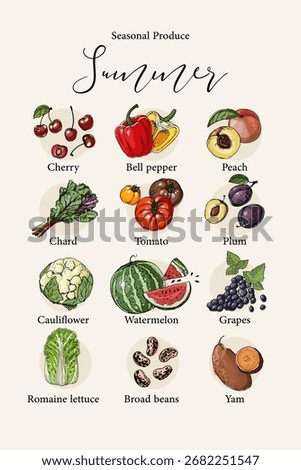 Vector poster with colorful hand drawn illustrations of seasonal summer produce: cherry, bell pepper, peach, chard, tomato, plum, cauliflower, watermelon, grapes, romaine lettuce, broad beans, and yam