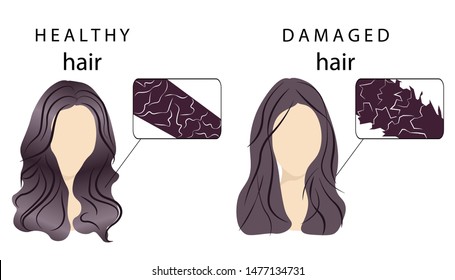 Vector poster demonstrating the difference between healthy normal hair and demaged hair. Close-up construction, building, structure and texture of hair to compare. Shining hair and thin dull brittle