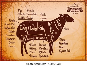 vector poster with detailed diagram cutting lamb